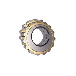 Reducer Special Integral Eccentric Bearings Cylindrical Roller Bearings 250752307K