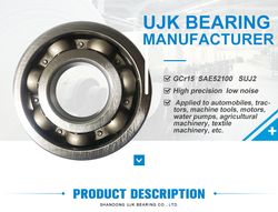 Special Bearing Nonstandard Deep Groove Ball Bearings 6305X2-Z/P53z2 Used for Motorcycle
