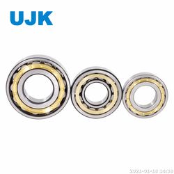 Cylindrical Roller Bearings Nu 2218 Nu 222 Nu 224 Nu 226 Nu 2308 Nu 304 Nu 305 Nu 305 Ecp Nu 306 Ecp Nu 307 Nu 307 Ecp Nu 308 Ecp Nu 309 Nu 309 E