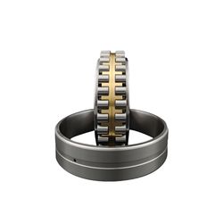 Double Row Cylindrical Roller Bearings Nn3005 Nn3006 Nn3007 Nn3008 Nn3009 Nn3010 Nn3011 Nn3012 Nn3013 Nn3014 Nn3015 Nn3016 Nn3017 Nn3018 Nn3019