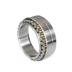 Double Row Cylindrical Roller Bearings Nn3036K/W33 Nn3038K/W33 Nn3040K/W33 Nn3044K/W33 Nn3048K/W33 Nn3052K/W33 Nn3056K/W33 Nn3060K/W33 Nn3064K/W33