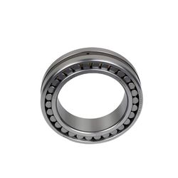 Double Row Cylindrical Roller Bearings Nnu49/500K Nn3020K/W33 Nn3022K/W33 Nn3024K/W33 Nn3026K/W33 Nn3028K/W33 Nn3030K/W33 Nn3032K/W33 Nn3034K/W33