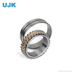 Double Row Cylindrical Roller Bearings Nnu4940K/W33 Nnu4944K/W33 Nnu4948K/W33 Nnu4952K/W33 Nnu4956K/W33 Nnu4960K/W33 Nnu4964K/W33 Nnu4968K/W33 Nnu4972K