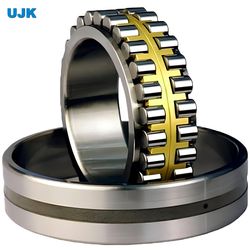 3282126 3282128 3282130 3282132 3282134 3282136 3282138 Double Row Cylindrical Roller Bearings 3282118 3282119 3282120 3282121 3282122 3282124