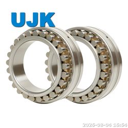 Double Row Cylindrical Roller Bearings 3182113 3182114 3182115 3182116 3182117 3182118 3182119 3182120 3182121 3182122 3182124 3182126 3182128