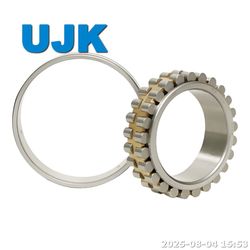 Double Row Cylindrical Roller Bearings 3182180 3182184 3182188 3182192 3182196 3182105 3182106 3182107 3182108 3182109 3182110 3182111 3182112