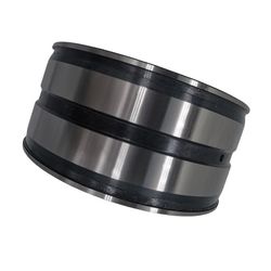 Full Complement Cylindrical Roller Bearings SL045009-PP2nr Double Row Full Complement Cylindrical Roller Bearing Original Quality with Brass Cage Double Row SL0