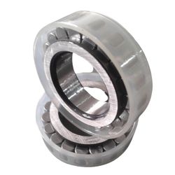 Double Row Full Complement Cylindrical Roller Bearings for Oil Pump and Industrial Transmission, Automotive, Electric Nnf 5020