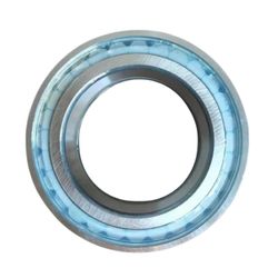 SL045010-D-PP Full Complement Double Row Cylindrical Roller Bearing Nr Series Product in Category Cylindrical Roller Bearings