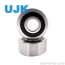 Lr5200nppu 305700c-2z 305800c-2z Cylindrical Single Row Guide Wheel Bearing Thickened Roller with Sg & for LV Lfr Lr Fittings