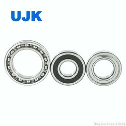 Deep Groove Ball Bearings 6403 2RS 6405 2RS 6406 2RS 6406 6407 6409 6410 for Industrial Electric Motors