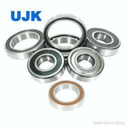 NSK Ball Bearing 6206 6206z 6207 6208 6208 Du 6208z 6209 6210 625zz 626 626z 629V 6302 6302du 6303du2 6304 6305 Used for Printing Machinery