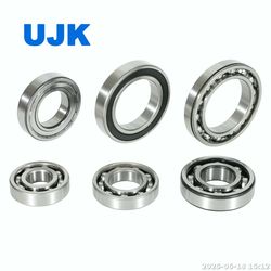 NSK Ball Bearings 6000 6000du 6000z 6001 6001du 6001V 6001z 6002 6002du 6002V 6002z 6003 6003du 6003z 6004 6004du 6004du2 6004z Used for Industria