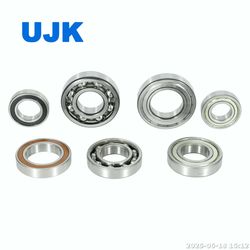 NSK Ball Bearings 6005 6005du 6005du2 6006 6006du 6007 6008 607V 608 608d1 608V 608V1 608z 6200 6200du 6200z Used for Industrial Electric Motors