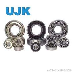 Bearing Importer Deep Groove Ball Bearings 6301/6301-2RS/6301zz (301 180301 80301) 12× 37× 12 0.0630kg Ball Bearing Types Application of Bearing
