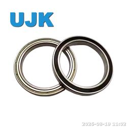 Thin Ball Bearings 16013/16013-2RS/16013zz (7000113/7000113 2RS/7000113 ZZ) 65X100X11 0.300kg Ball Bearing Series