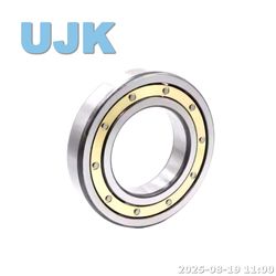 Thin Section Ball Bearings 61810/61810-2RS/61810zz (1000810/1000810 2RS/1000810 ZZ) 50X65X7 0.052kg