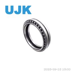 PC200-6/7 Excavator Spare Parts Ball Bearing 220*295*33mm NTN Final Drive Bearing Sf4454px1