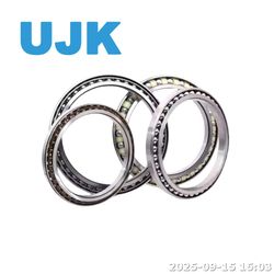 Excavator Walking Bearing Bd185-6A Ba290-3A Excavator Walking Bearing Tractor Trucks Bd155-3A Bd155-4A Bd155-5A Bd155-6A Ba120-7