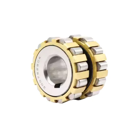 100752305 Cylindrical Roller Bearing Integral Double Row Bearing 100752305 Overall Eccentric Bearing with 25*68.2*42mm pictures & photos
