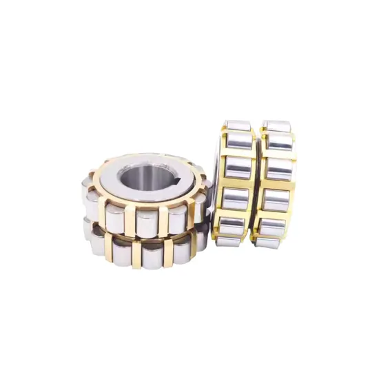 100752305 Cylindrical Roller Bearing Integral Double Row Bearing 100752305 Overall Eccentric Bearing with 25*68.2*42mm pictures & photos