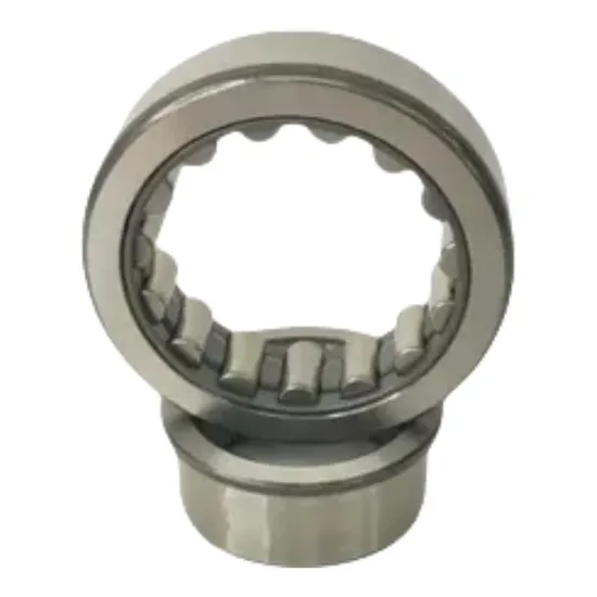 Cylindrical Roller Bearing Needle Roller Bearings Motorcycle Bearings F-113342.07 F-113282.3 F-239956.02 F-113274.01-0010 F-239956.02 F-113712 Pgdf11334207 pictures & photos