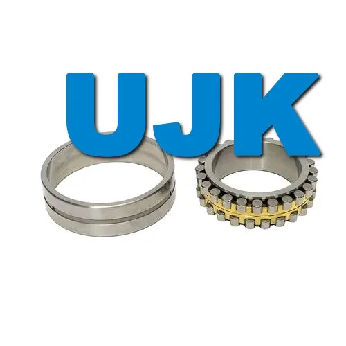 Double Row Cylindrical Roller Bearings 3282105 3282106 3282107 3282108 3282109 3282110 3282111 3282112 3282113 3282114 3282115 for Machine Tools pictures & photos