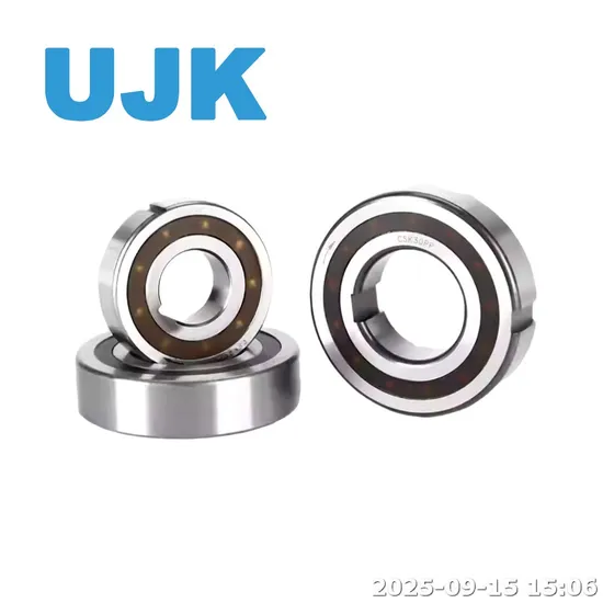 One Way Clutch Bearing 6205 Csk 20 PP 20X47X14 Csk20 2RS Deep Groove Balls One Way Rotation Bearing Csk20PP pictures & photos