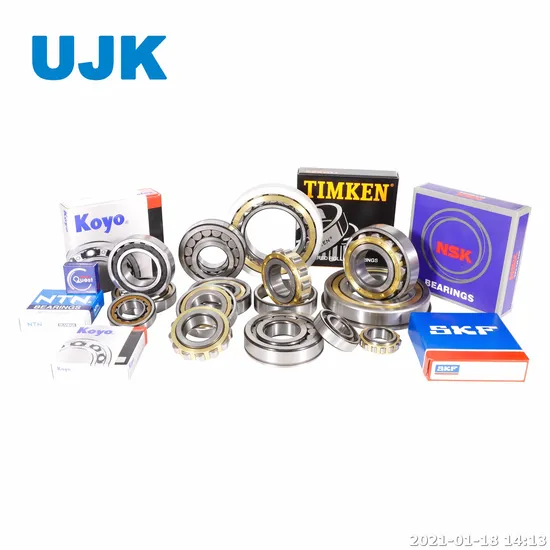 Cylindrical Roller Bearings Nu 205 Ecp Nu 206 Nu 206 Ecp Nu 207 Ecp Nu 208 Nu 208 Ecp Nu 209 Ecp Nu 210 Nu 210 Ecp Nu 211 Nu 211 Ecp Nu 212 Nu 213 pictures & photos