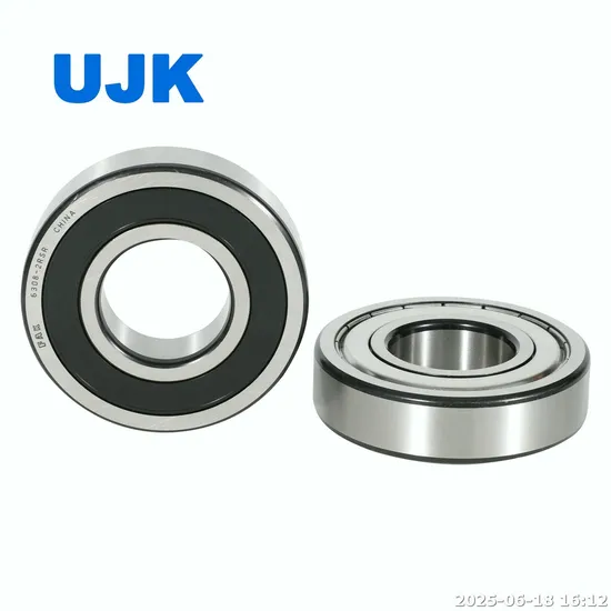 NSK NTN Ball Bearings 6305du 6305z 6306 6307 6308 6309 6000 6001 6002 6006 6006lu 6007 6201 6202 6203 6204 6205 6207 6208 6301 6302 6303 6306 pictures & photos