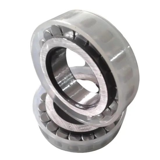High Quality Rsl18 2212 Full Complement Cylindrical Roller Bearing Rsl18 2212-Fs 19HD9 Bearing pictures & photos