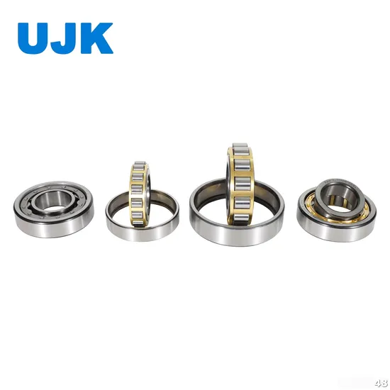 Single Row Cylindrical Roller Bearings N, NF, Np 130mm pictures & photos