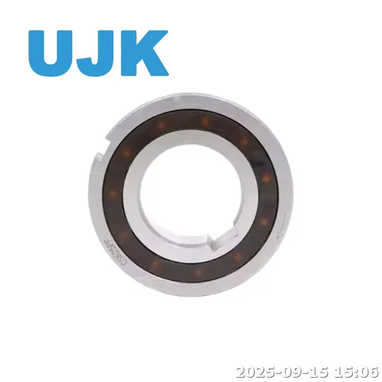 One Way Clutch Bearing 6205 Csk 20 PP 20X47X14 Csk20 2RS Deep Groove Balls One Way Rotation Bearing Csk20PP pictures & photos