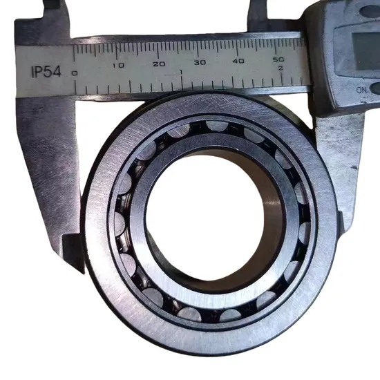 Cylindrical Roller Bearing Needle Roller Bearings Motorcycle Bearings F-113342.07 F-113282.3 F-239956.02 F-113274.01-0010 F-239956.02 F-113712 Pgdf11334207 pictures & photos