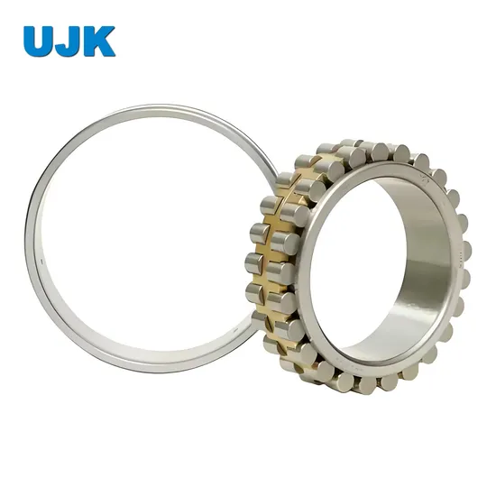 Double Row Cylindrical Roller Bearings 3282192 3282196 3182105 3182106 3182107 3182108 3182109 3182110 3182111 3182112 3182113 3182114 3182115 pictures & photos