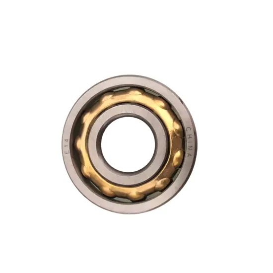 E5 En5 Magnetic Bearing Magneto Bearing with Brass Cage for Textile Spinning Mills Machine pictures & photos