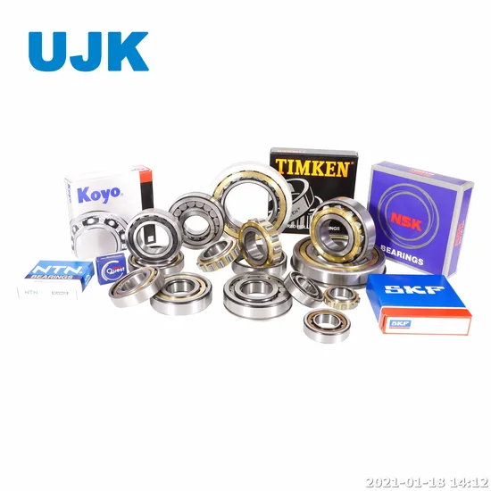 Cylindrical Roller Bearings Nj304 Nj306 Nj306e Nj307 Nj308 Nj313 Nj314 Nj316 Nj320 Nj407 Nu 1007 Ecp Nu 1008 Nu 1010 Nu 202 Nu 203 Nu 203 Ecp Nu 205 pictures & photos