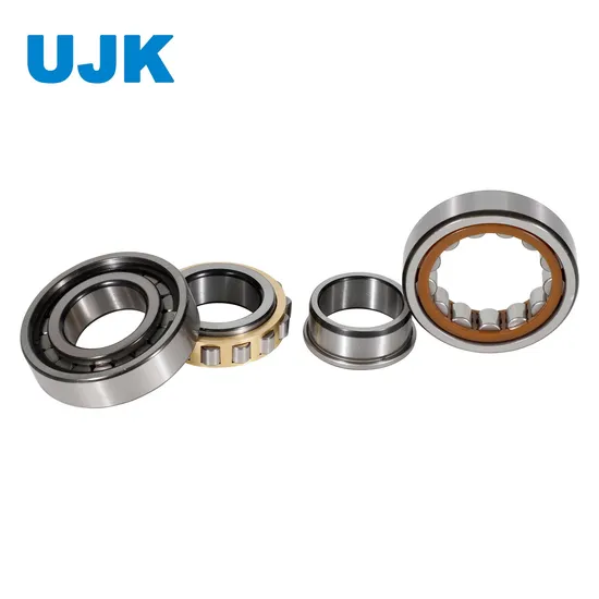 Single Row Cylindrical Roller Bearings N, NF, Np 280mm NF1928 Np1928 pictures & photos