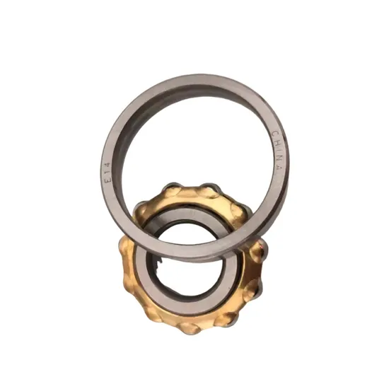 E5 En5 Magnetic Bearing Magneto Bearing with Brass Cage for Textile Spinning Mills Machine pictures & photos