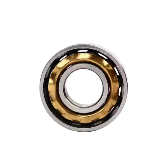E5 En5 Magnetic Bearing Magneto Bearing with Brass Cage for Textile Spinning Mills Machine pictures & photos
