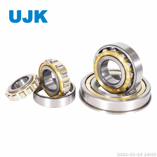 Cylindrical Roller Bearings 305 307 307 Ec 308 310 310 Ec 311 313 Used for Automotive Alternators / Starters pictures & photos