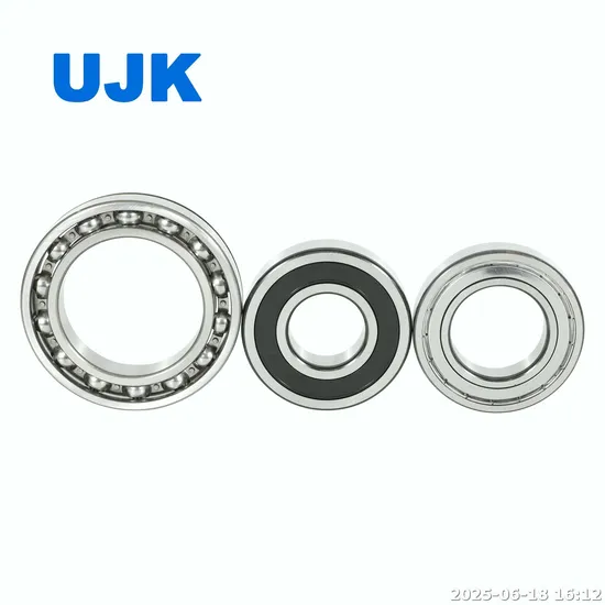 Deep Groove Ball Bearings 6403 2RS 6405 2RS 6406 2RS 6406 6407 6409 6410 for Industrial Electric Motors pictures & photos