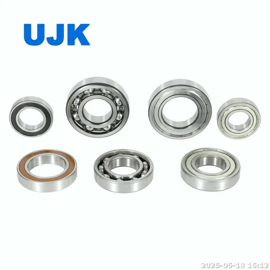 Deep Groove Ball Bearings 6403 2RS 6405 2RS 6406 2RS 6406 6407 6409 6410 for Industrial Electric Motors pictures & photos