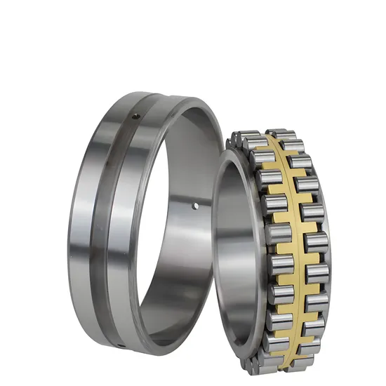 Double Row Cylindrical Roller Bearings Nn3021K Nn3022K Nn3024K Nn3026K Nn3028K Nn3030K Nn3032K Nn3034K Nn3036K Nn3038K Nn3040K Nn3044K Nn3048K pictures & photos