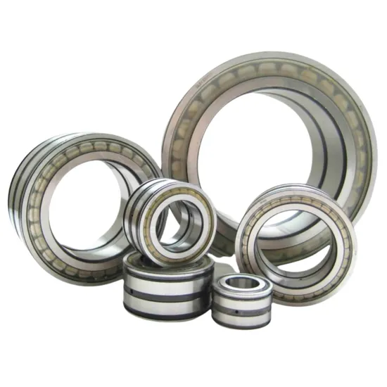 High Quality Rsl18 2212 Full Complement Cylindrical Roller Bearing Rsl18 2212-Fs 19HD9 Bearing pictures & photos