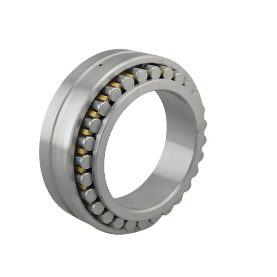 Double Row Cylindrical Roller Bearings Nnu4921 Nnu4922 Nnu4924 Nnu4926 Nnu4928 Nnu4930 Nnu4932 Nnu4934 Nnu4936 Nnu4938 Nnu4940 Nnu4944 Nnu4948 pictures & photos