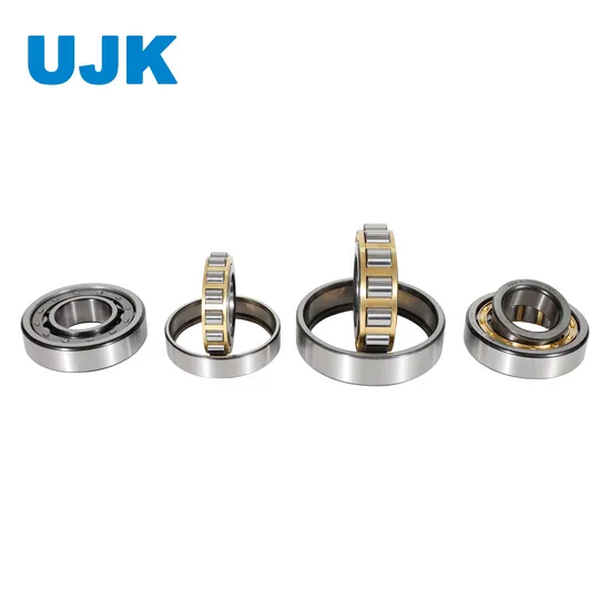 Single Row Cylindrical Roller Bearings N, NF, Np Cylindrical Bearing pictures & photos