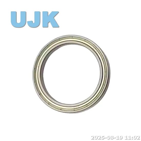 Thin Section Bearings 61816/61816-2RS/61816zz (1000816/1000816 2RS/1000816 ZZ) 80X100X10 0.155kg pictures & photos