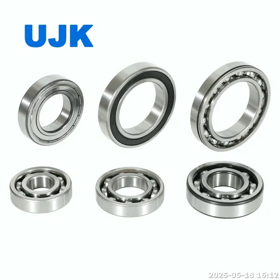 Deep Groove Ball Bearings 6403 2RS 6405 2RS 6406 2RS 6406 6407 6409 6410 for Industrial Electric Motors pictures & photos