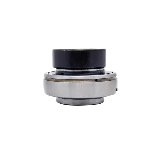 Hc218 Hc218-56 Insert Bearing 56mm Bore Cast Iron Housing Pillow Block for Heavy Duty Use pictures & photos
